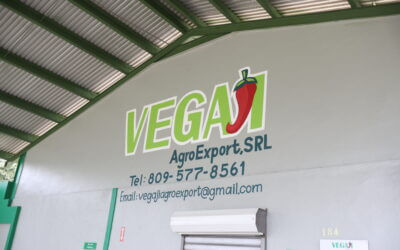 Vegaji AgroExport SRL